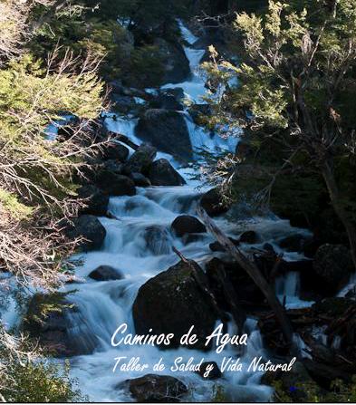 Taller de Salud y Vida Natural