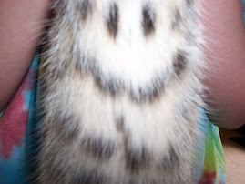 MY KITTY KAT