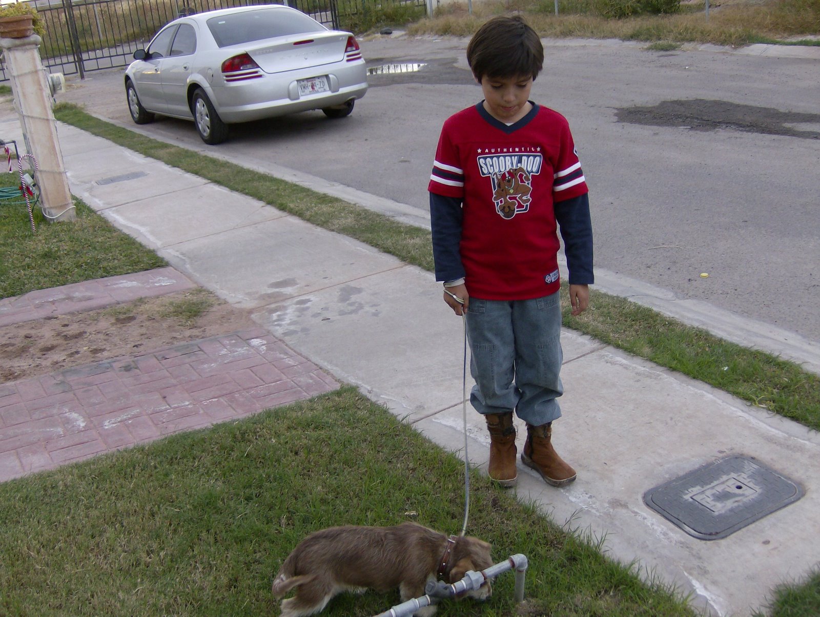 [sylvinventos2+110.JPG]