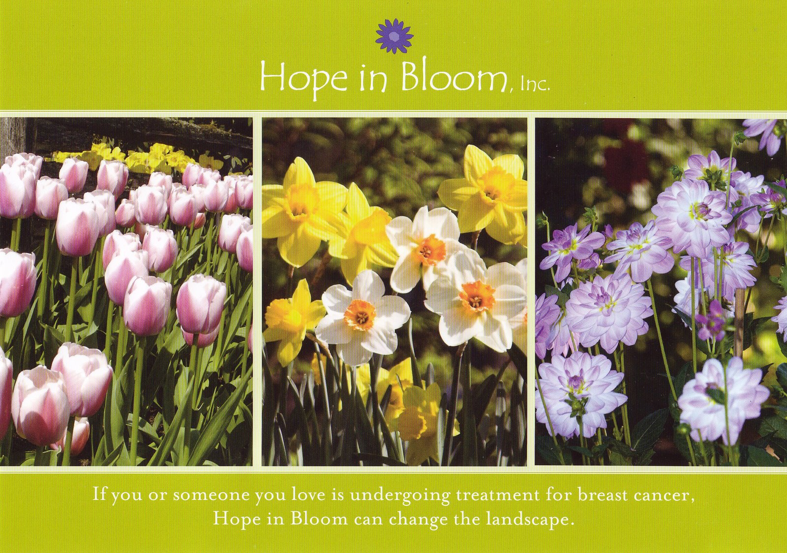 [Hope+in+Bloom.jpg]