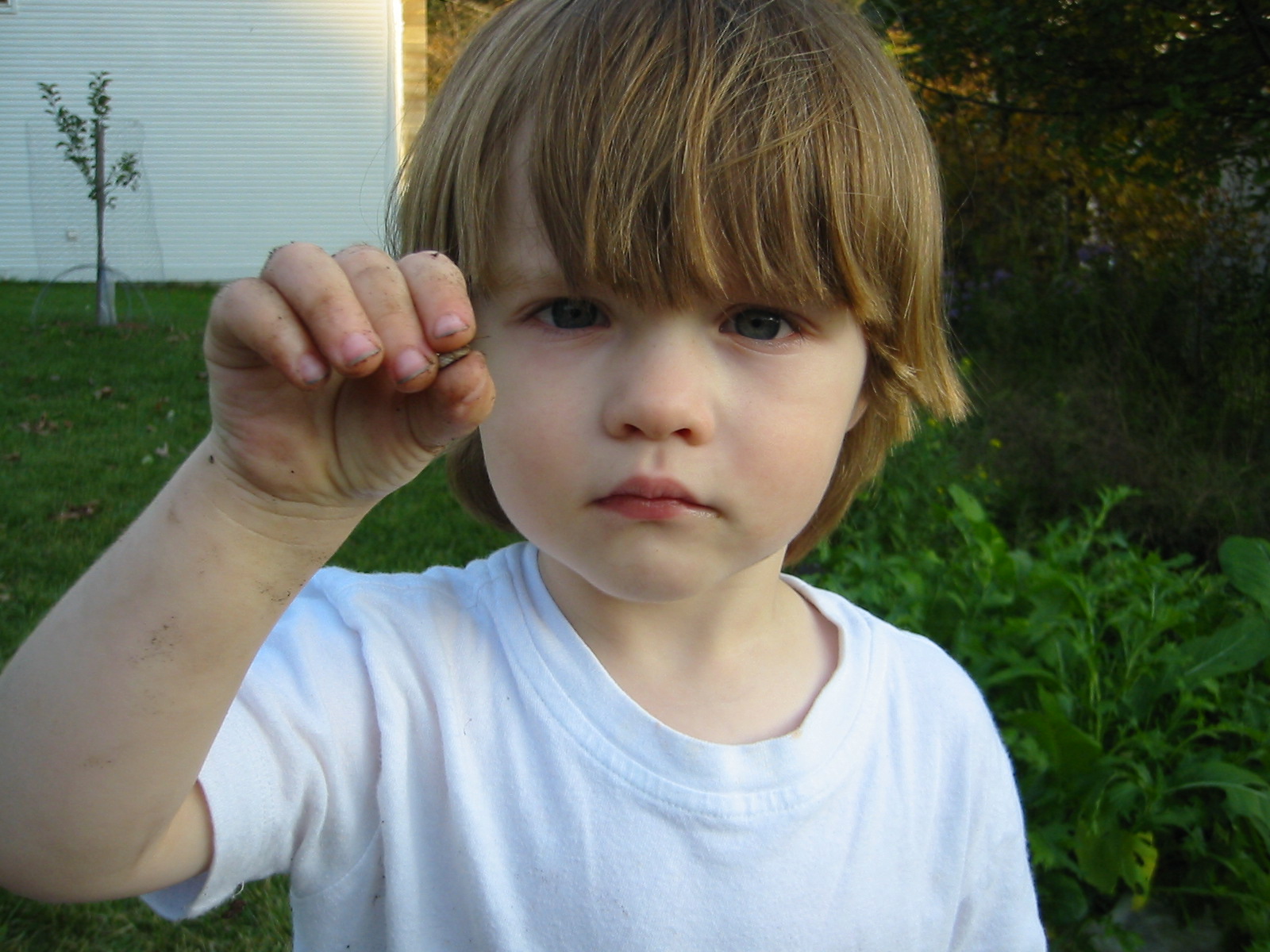 [3+Naturalistboy.jpg]