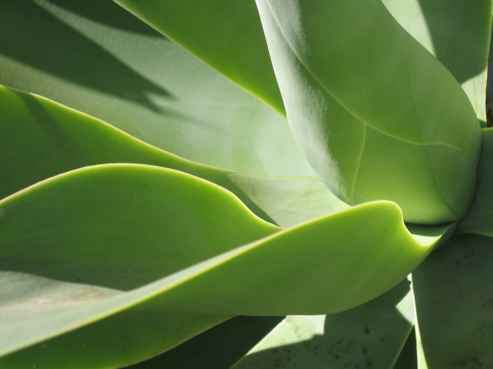 [March+2008+039.jpg]