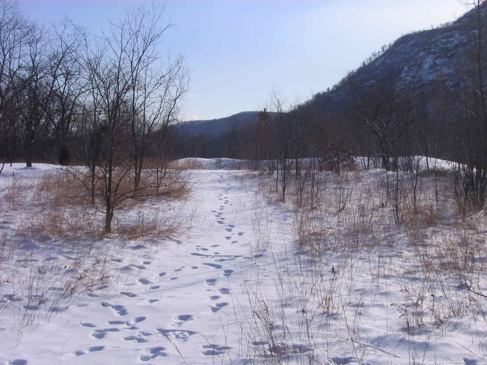 [human+tracks.jpg]