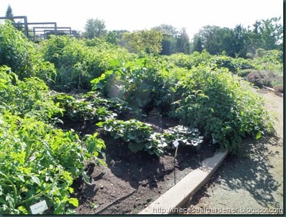[BallHortGardens1_thumb4.jpg]