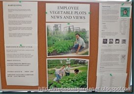 [BallHortEmployeeGardenBoard_thumb4.jpg]