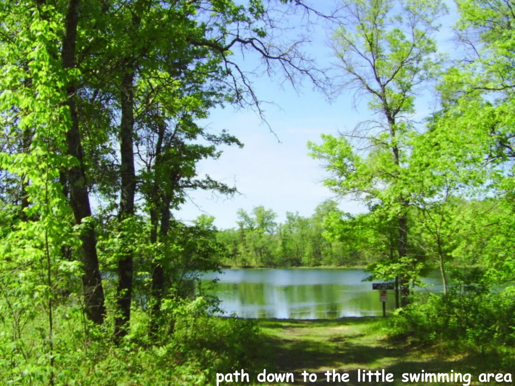 What A View!!! CAMPING Old Veterans Campground Peshtigo State Forest