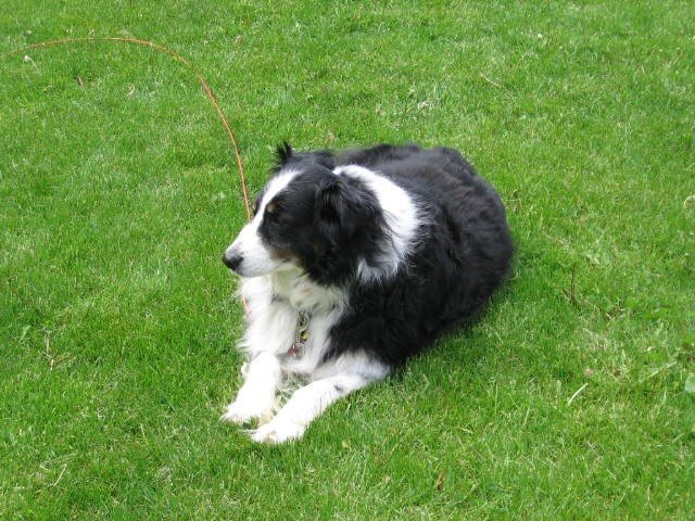 [Beau+152.jpg]