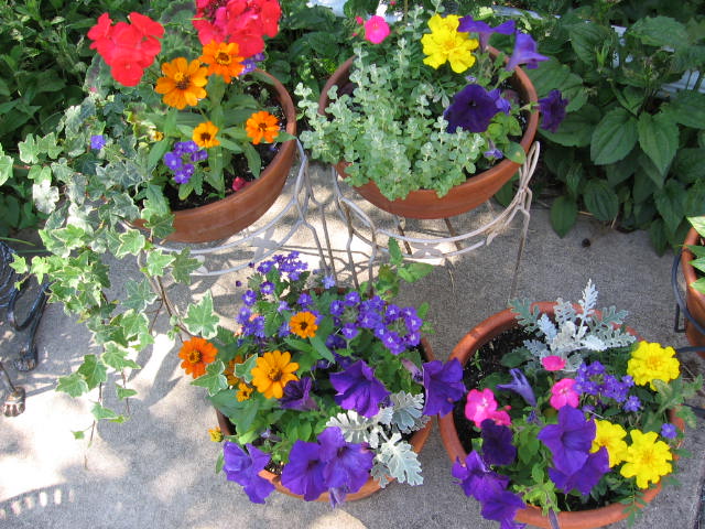 [patio.jpg]