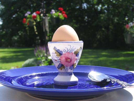 [good+egg+001.jpg]