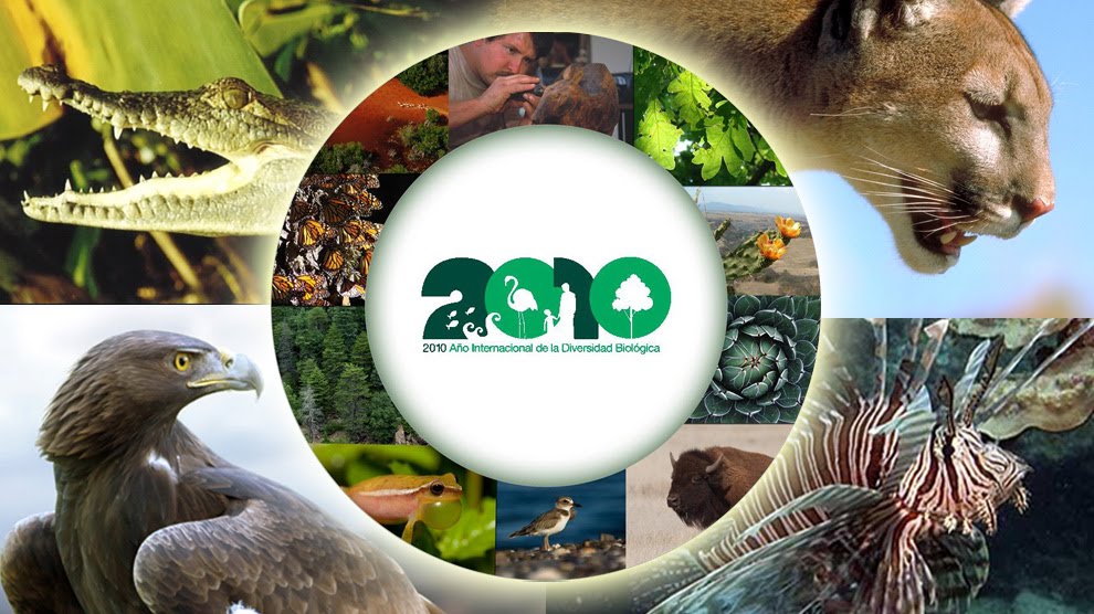 ESPECIES EN PELIGRO DE EXTINCION LISTA ROJA
