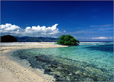 The Beauty of Indonesian Ocean