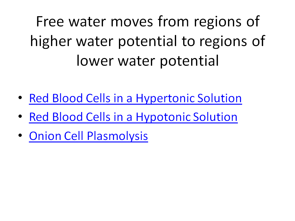 Water Potential Biology A Level