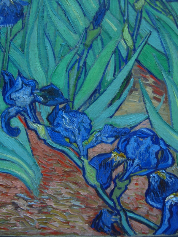 [Van+Gogh,+Irises+(2).JPG]