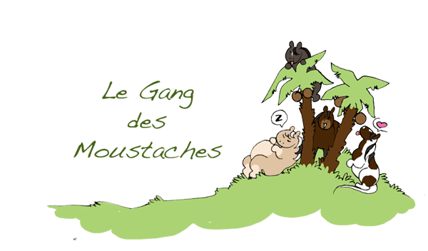 Le Gang des Moustaches