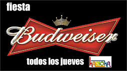 Los maricas bebemos BUDWEISER