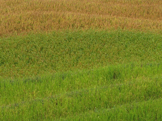 Andrés y Antonio de viaje: octubre 2010