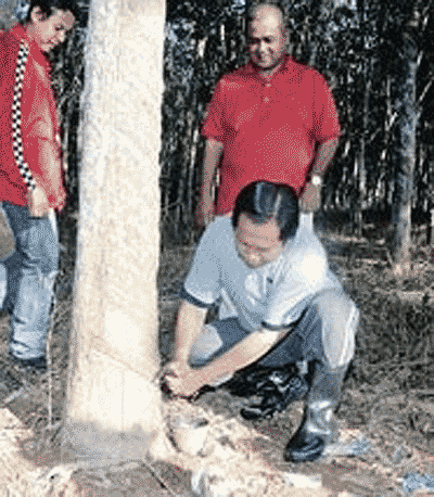 [ahmad+masalan+getah.gif]