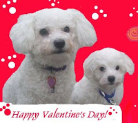 Puppy Valentine Cards
