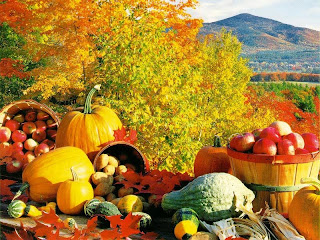 Autumn Harvest Wallpapers