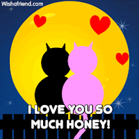 i love you so much honey