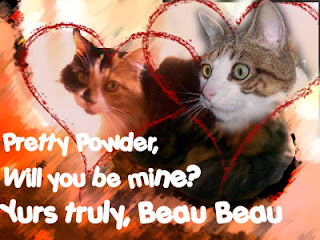 catty valentine wishes