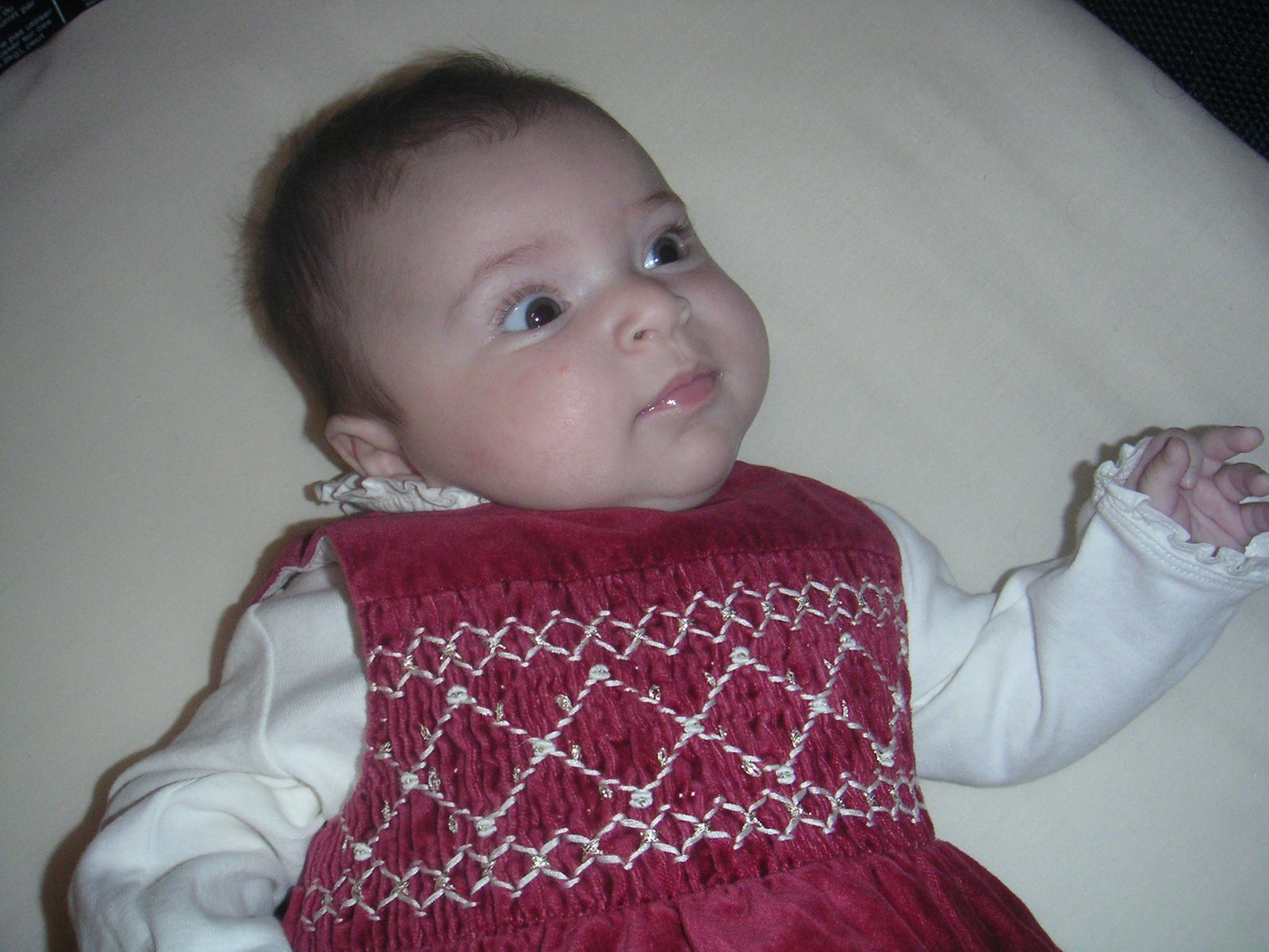 [PICT0036.JPG]