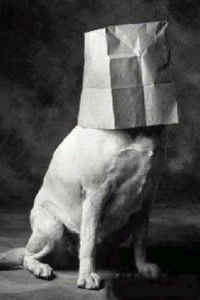 Who I am, December 2009