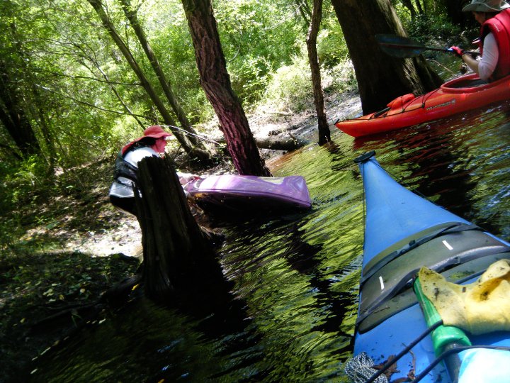 Saabi`s daily news Black River , NC