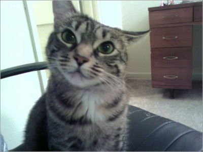 [2406460227_5d215ffc14.jpg]