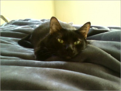 [2406460163_3f8317a124.jpg]