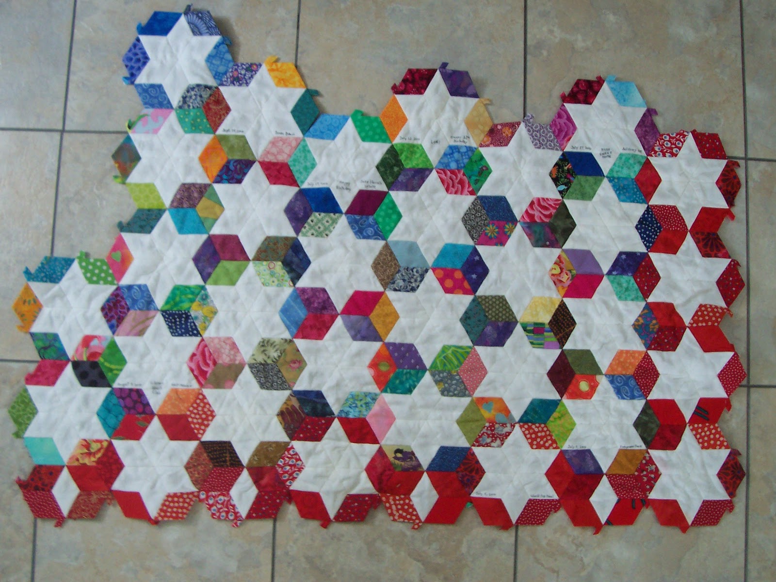 Life Under Quilts Travel Quilt 3