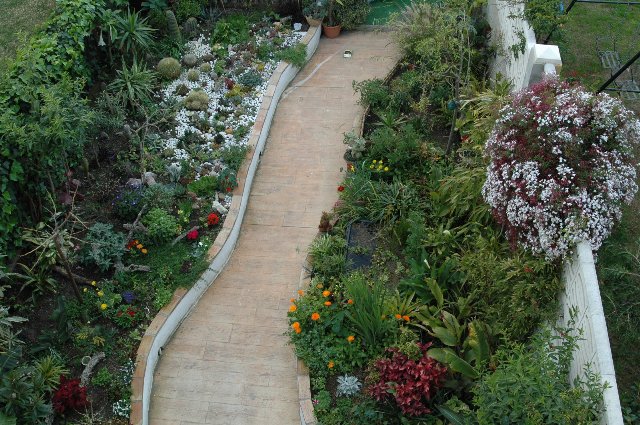 FLORACIONES EN MÁLAGA Y MÁS: Estanquillos y plantas acuáticas