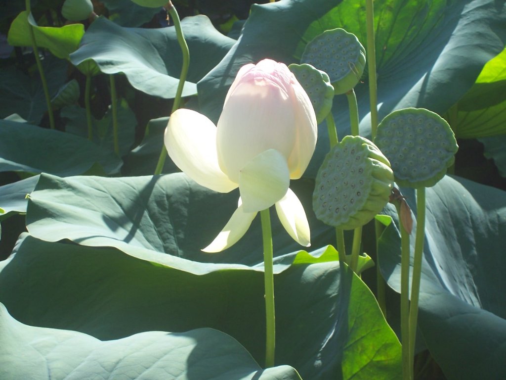 [100_2107_1024x768.jpg]