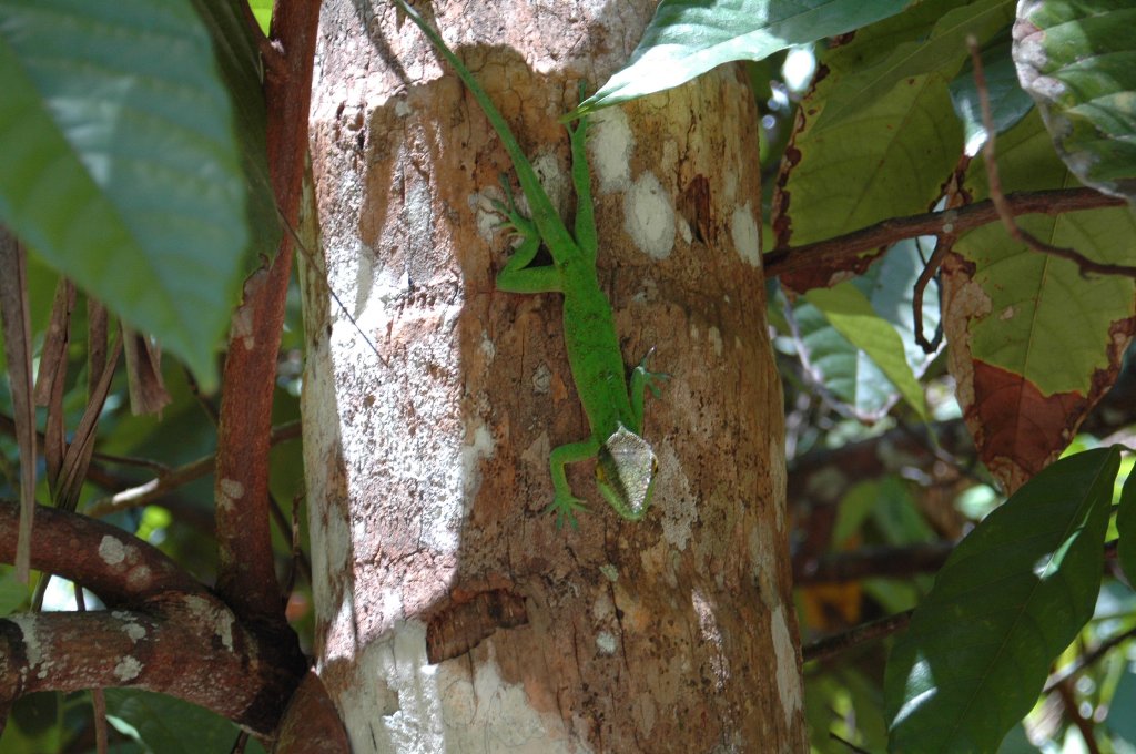 [DSC_2356_1024x680.jpg]