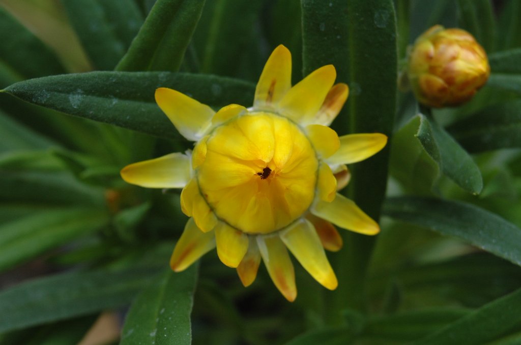 [DSC_7331_1024x680.jpg]