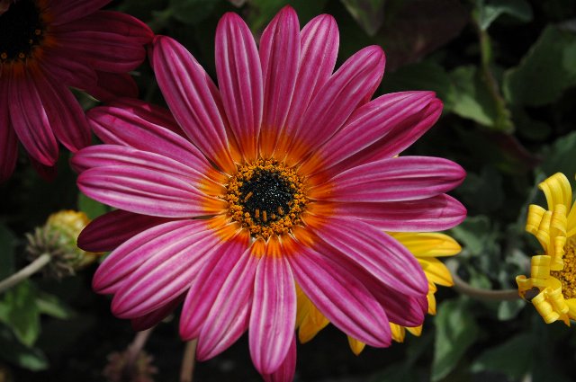 [DSC_7753_640x425.jpg]