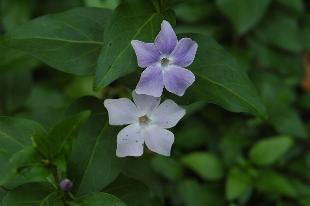 [DSC_7624_640x425.jpg]