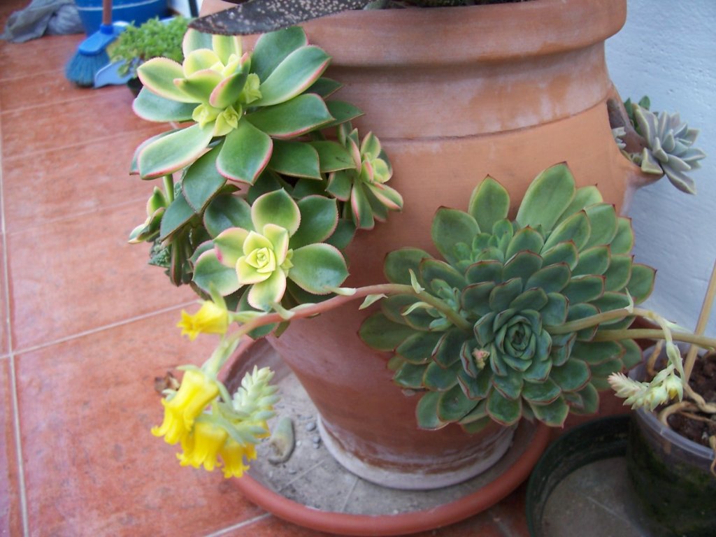 [31-X-05+311_1024x768.jpg]