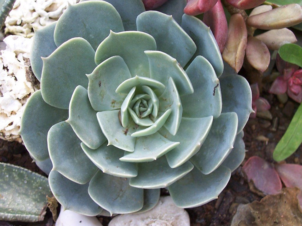 [100_2664_1024x768.jpg]