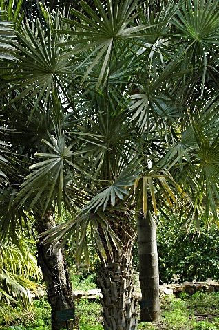 [DSC_7678_318x480.jpg]