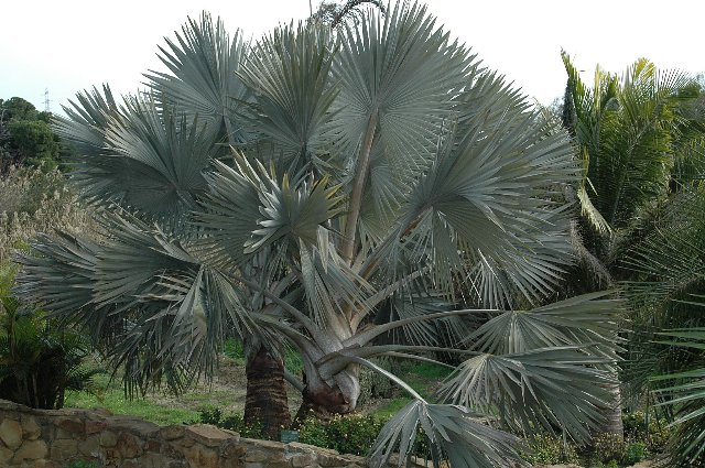 [DSC_7707_640x425.jpg]