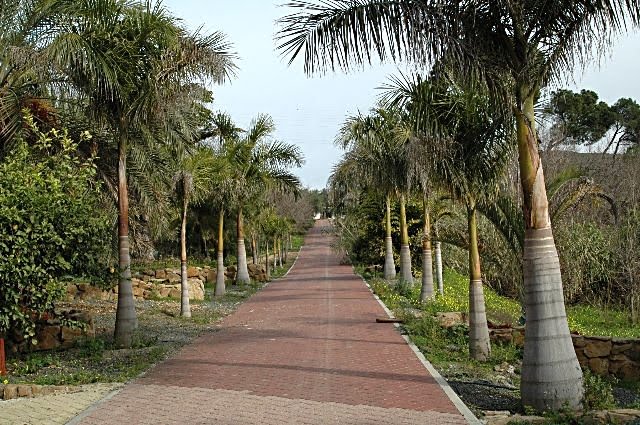 [DSC_7703_640x425.jpg]