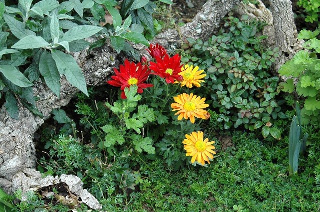 [DSC_9054_640x425.jpg]