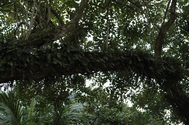 [RP+2010+(708)_640x425.jpg]