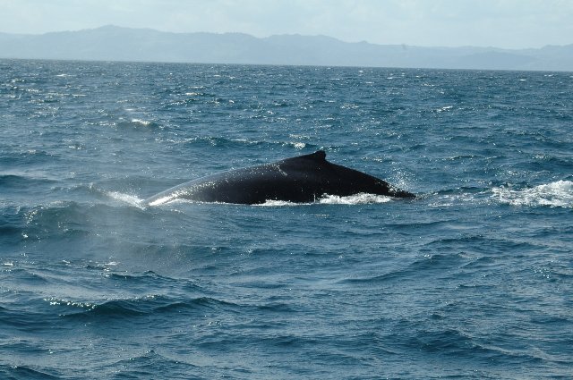 [RP+2010+(97)_640x425.jpg]