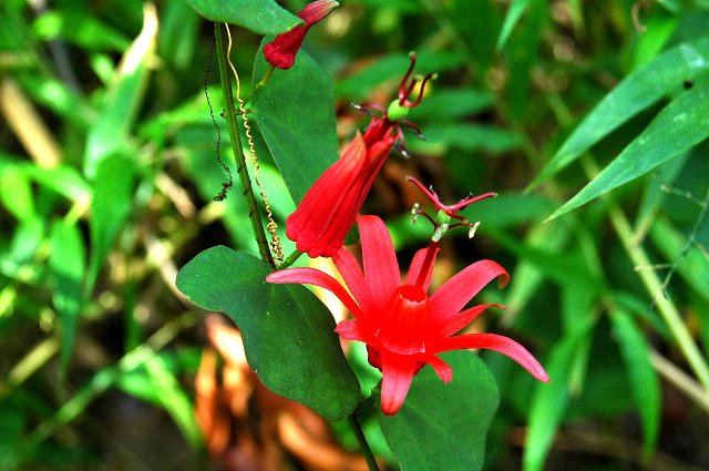 [DSC_8136_640x425.jpg]