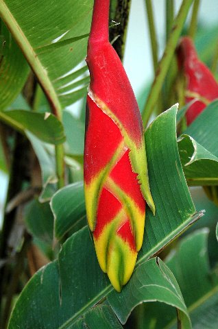 [RP+2010+(83)_318x480.jpg]