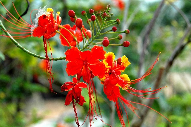 [RP+2010+(60)_640x425.jpg]