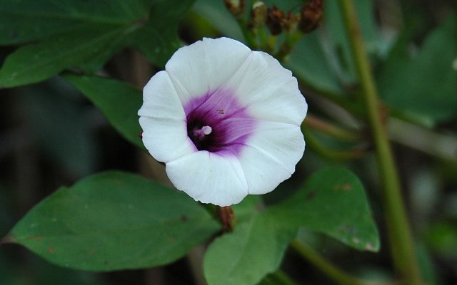 [RP+2010+(122)_640x400.jpg]