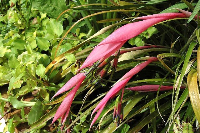 [DSC_8999_640x425.jpg]